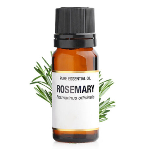 Rosemary essential oil 10ml (Premium)